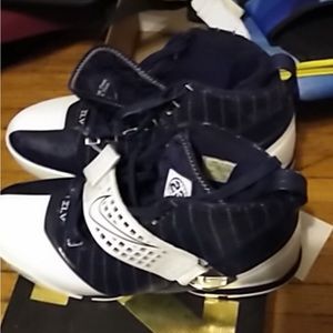 Labron James Yankee edition